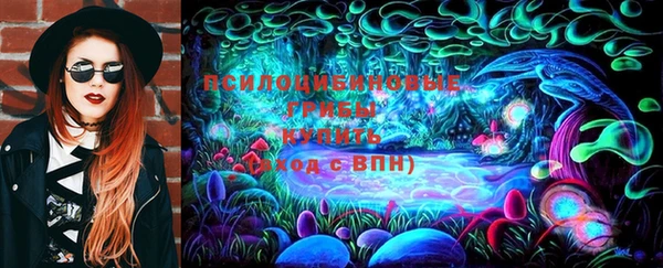 соль ск Пересвет