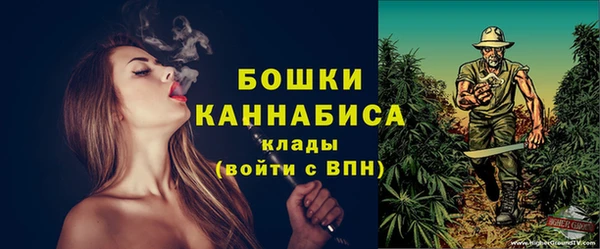 соль ск Пересвет