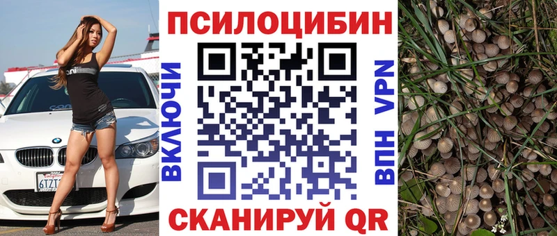 Псилоцибиновые грибы Magic Shrooms  где продают наркотики  Стрежевой 