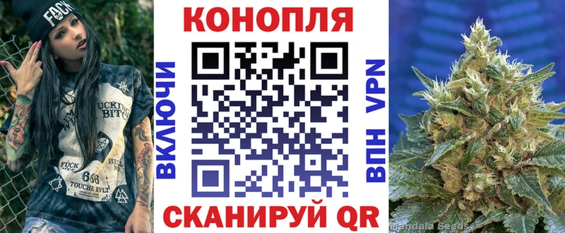 blacksprut зеркало даркнет сайт Стрежевой Марихуана планчик
